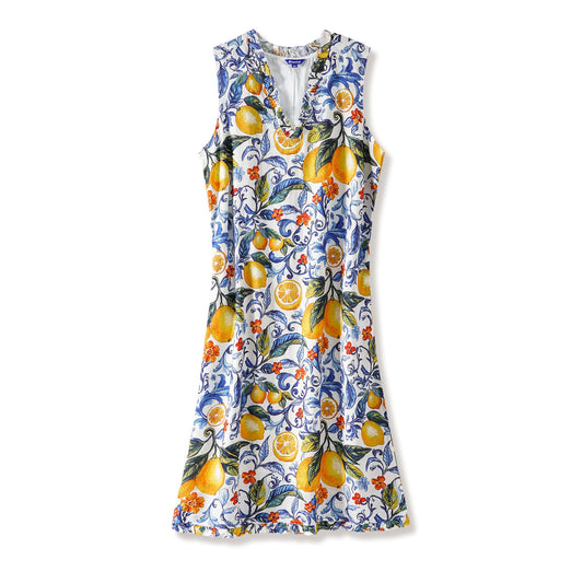 Sleeveless V-neck Women's Dress in Blue and Lemon Print