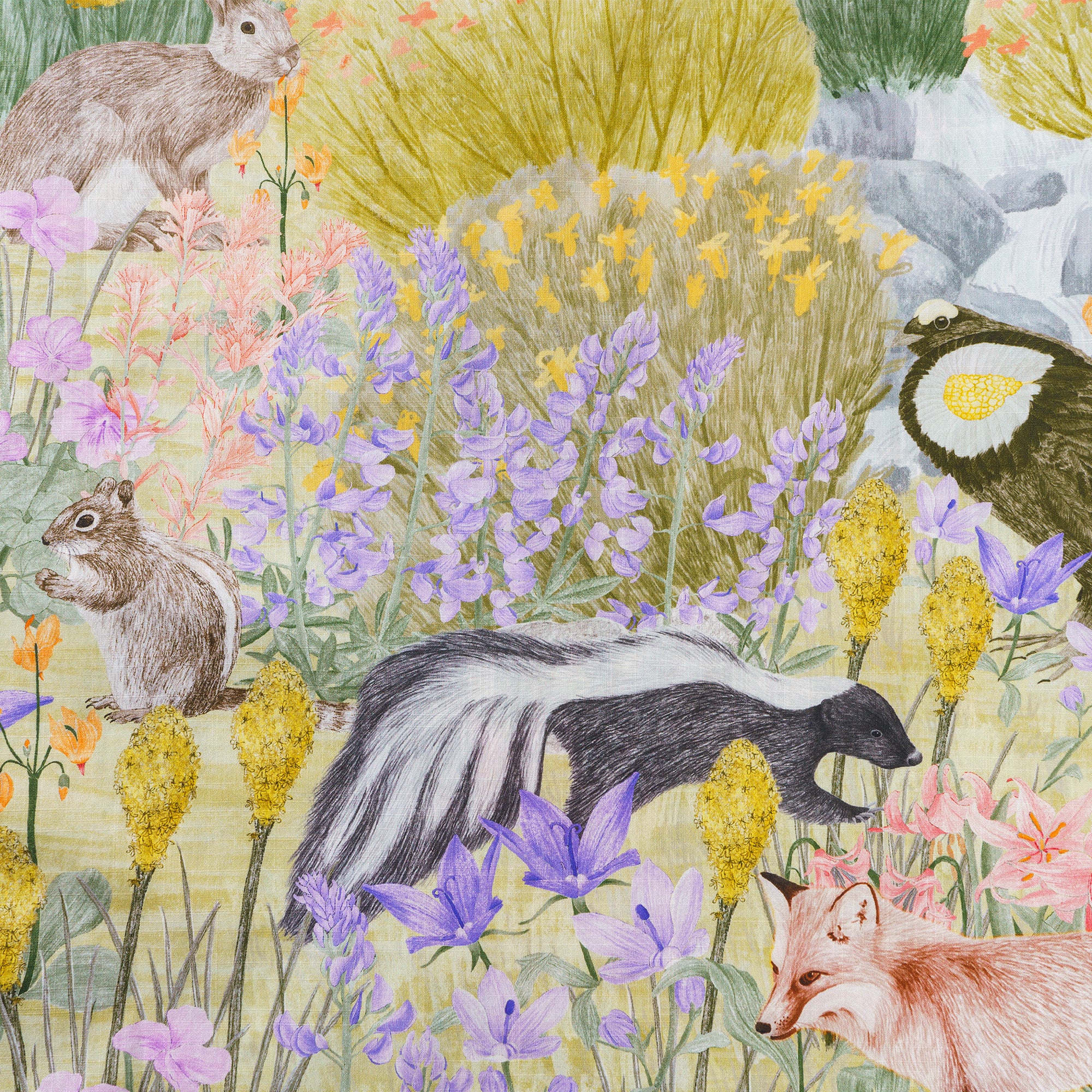 Parc national olympique prairie alpine Par Stacy Hsu Chemise à col camp en coton 100% pour homme à manches courtes Verte Aloha Hawaïenne