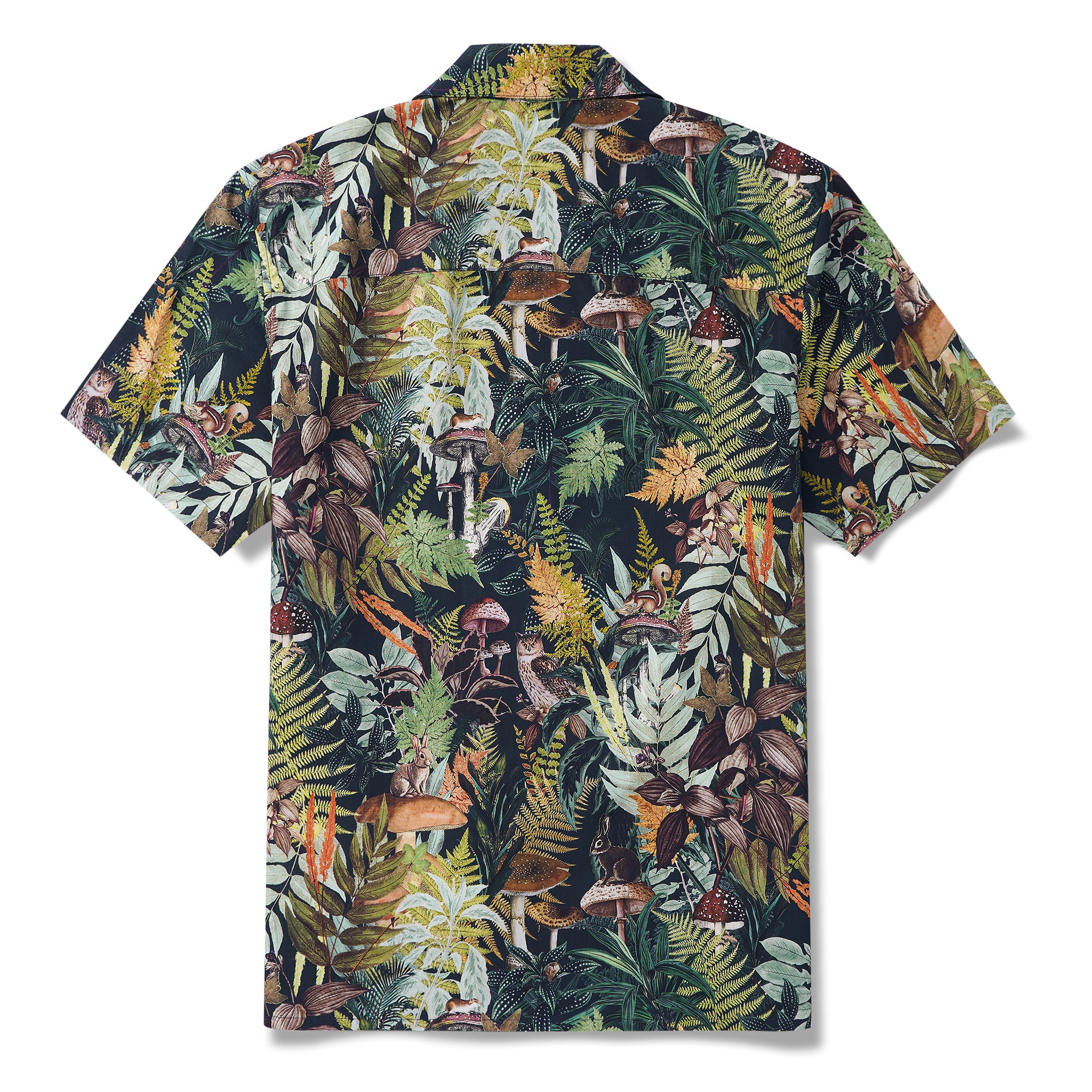 Chemise hawaïenne pour homme à manches courtes, col camp, 100 % coton, verte, Aloha Émeraude Grove