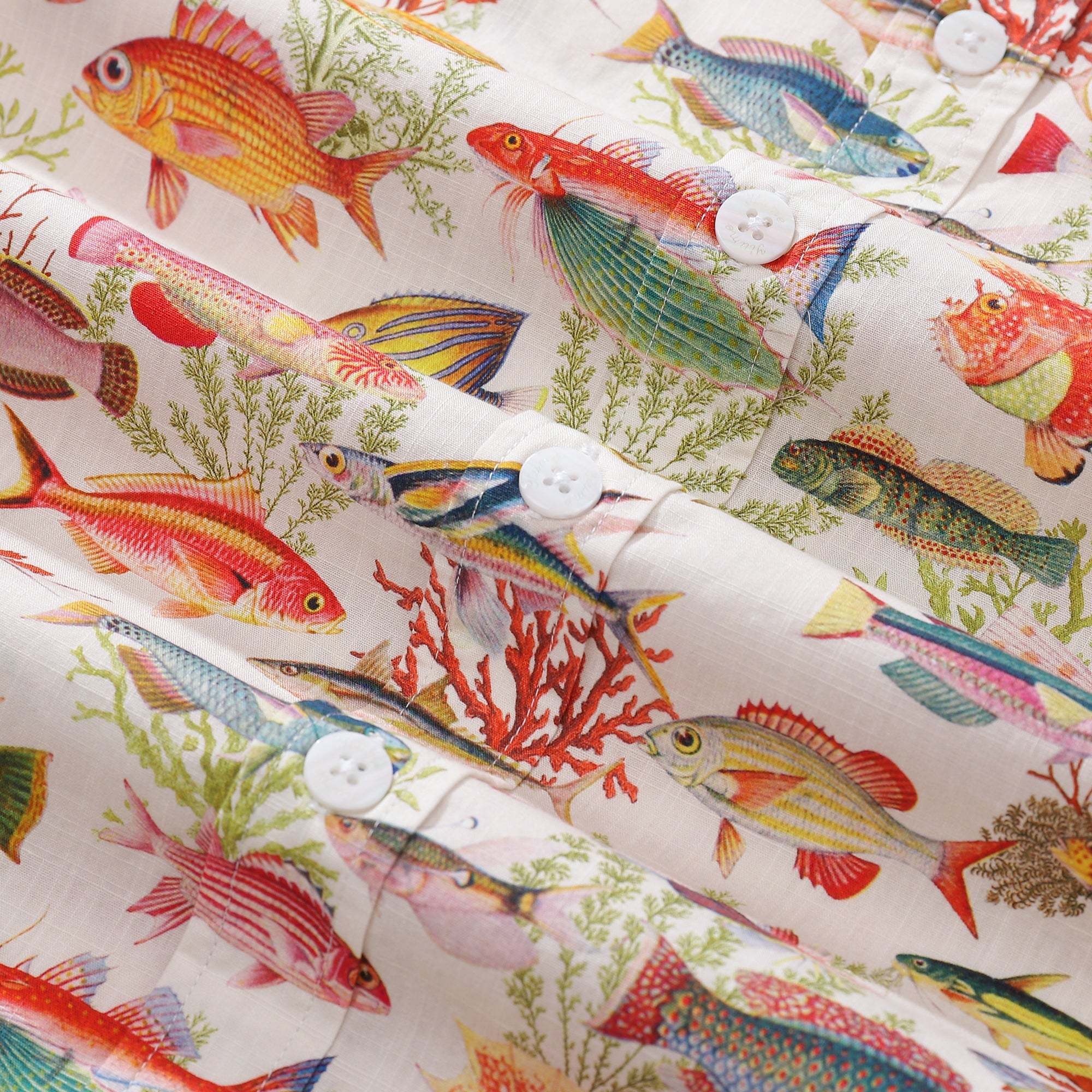 2d678144dedd4a4cbb70f4248a9286b1