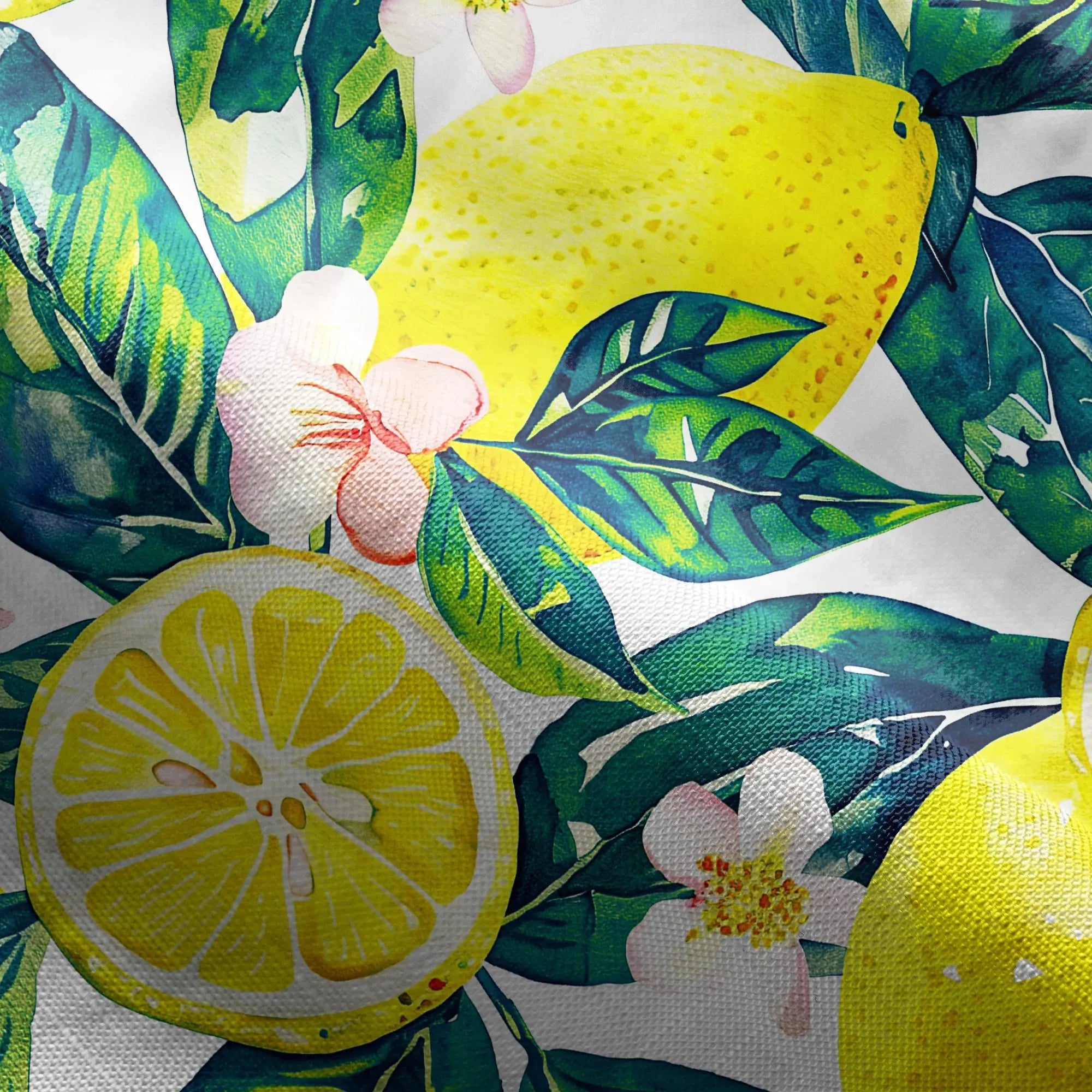 4810517e870c4a6d9069a3badbd09680