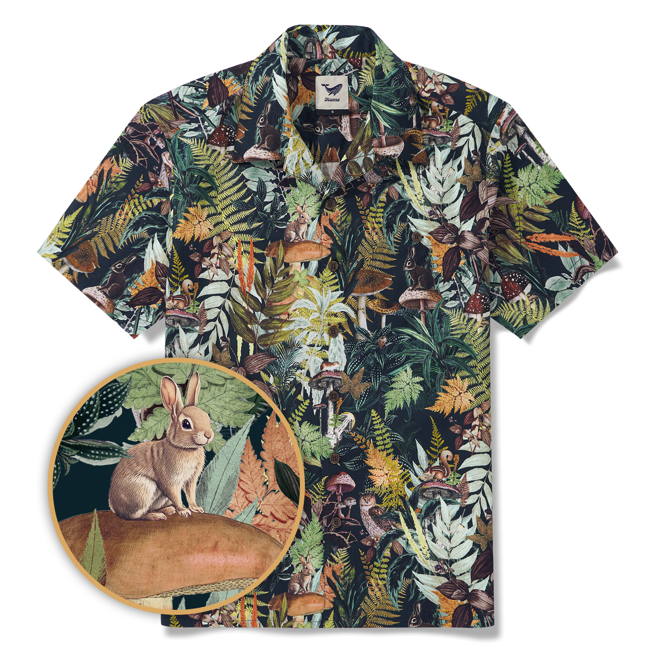 Chemise hawaïenne pour homme à manches courtes, col camp, 100 % coton, verte, Aloha Émeraude Grove