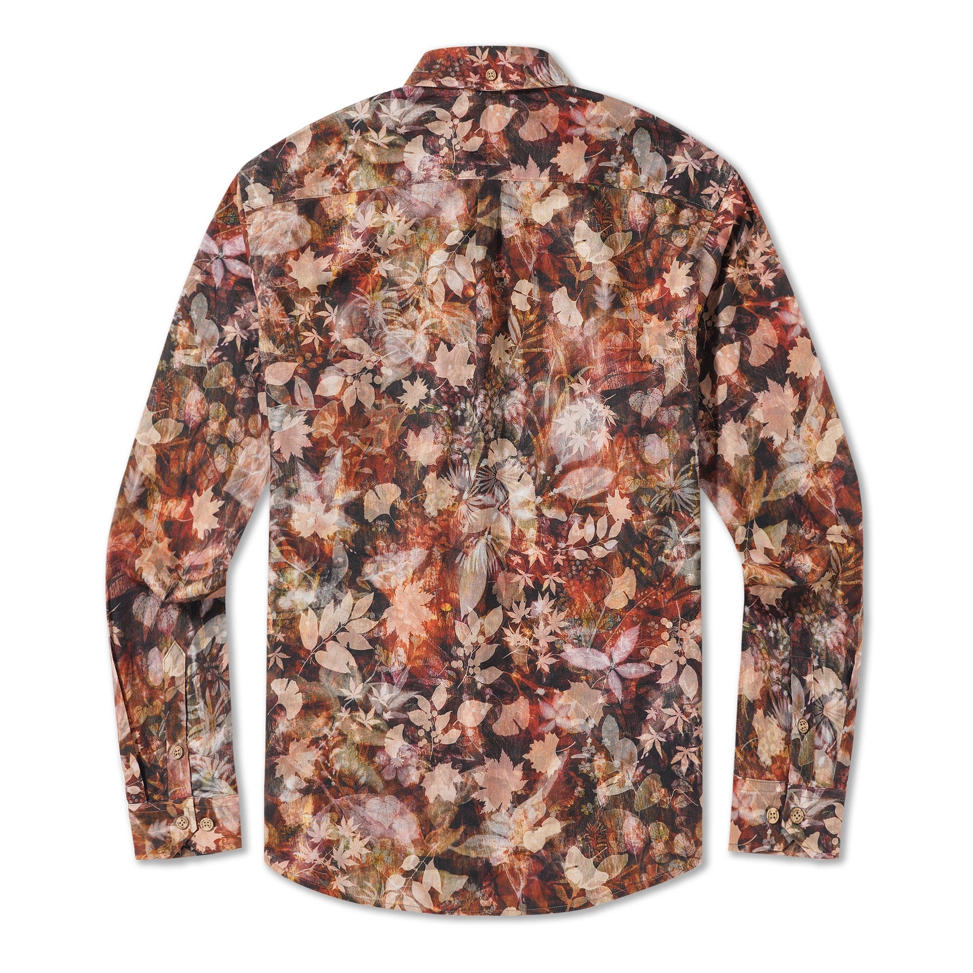 c2a7c0e47ce6404cbb86186ff9d62014