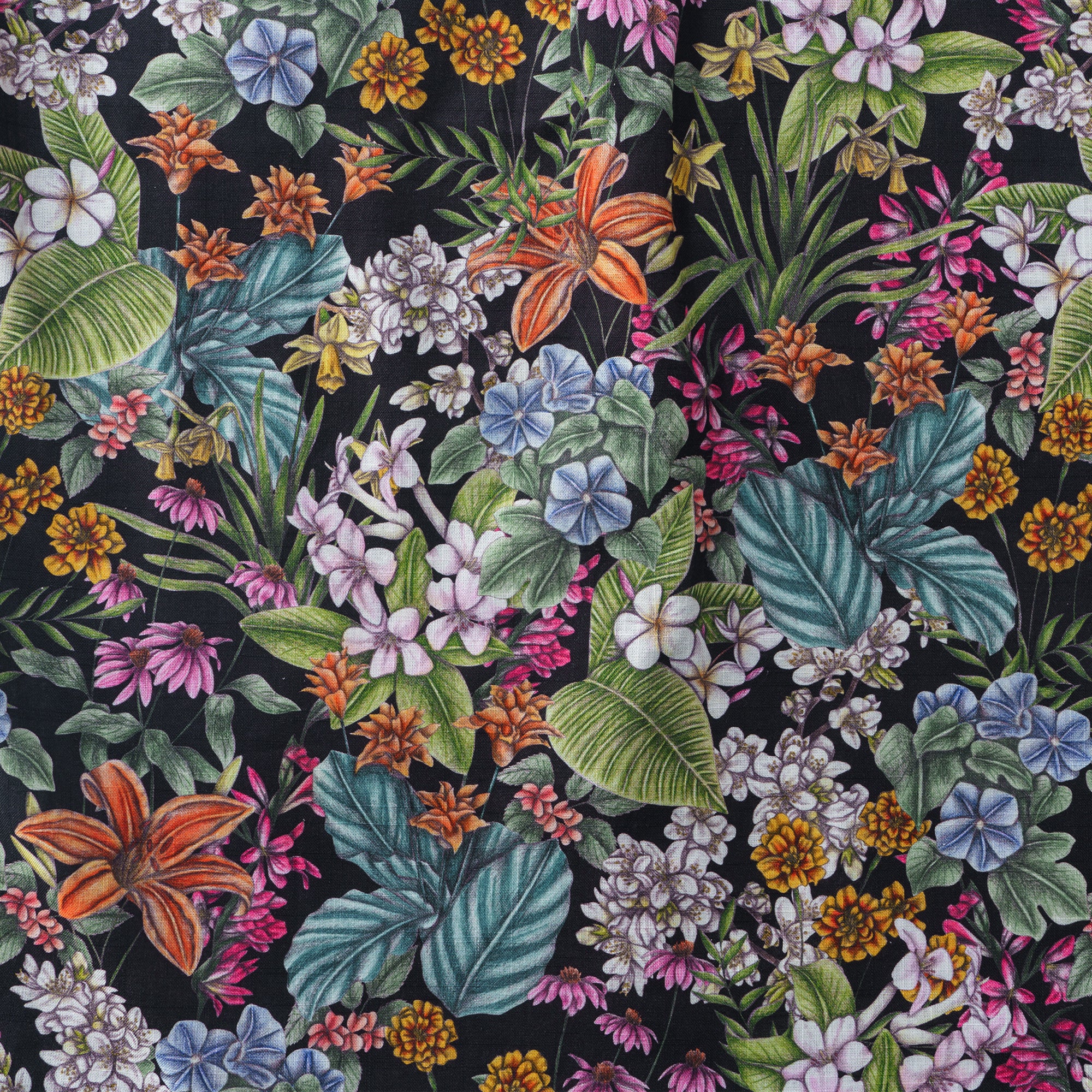 La Signification des Fleurs Par Cecilia Battaini Chemise à Manches Longues pour Homme 100% Coton Boutonnée Aloha Hawaïenne