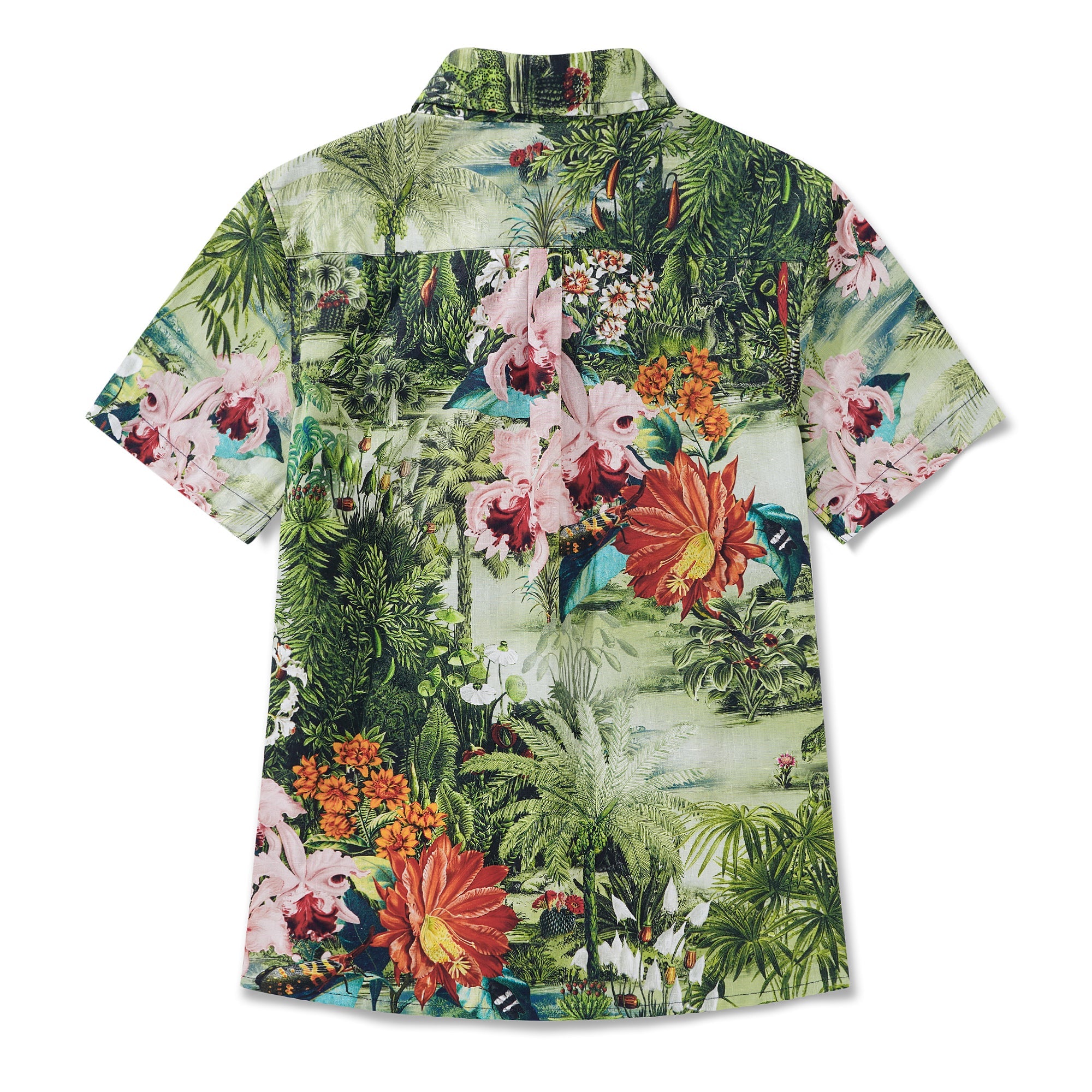 0809a5d1c6b244dda9c9e89c93905410