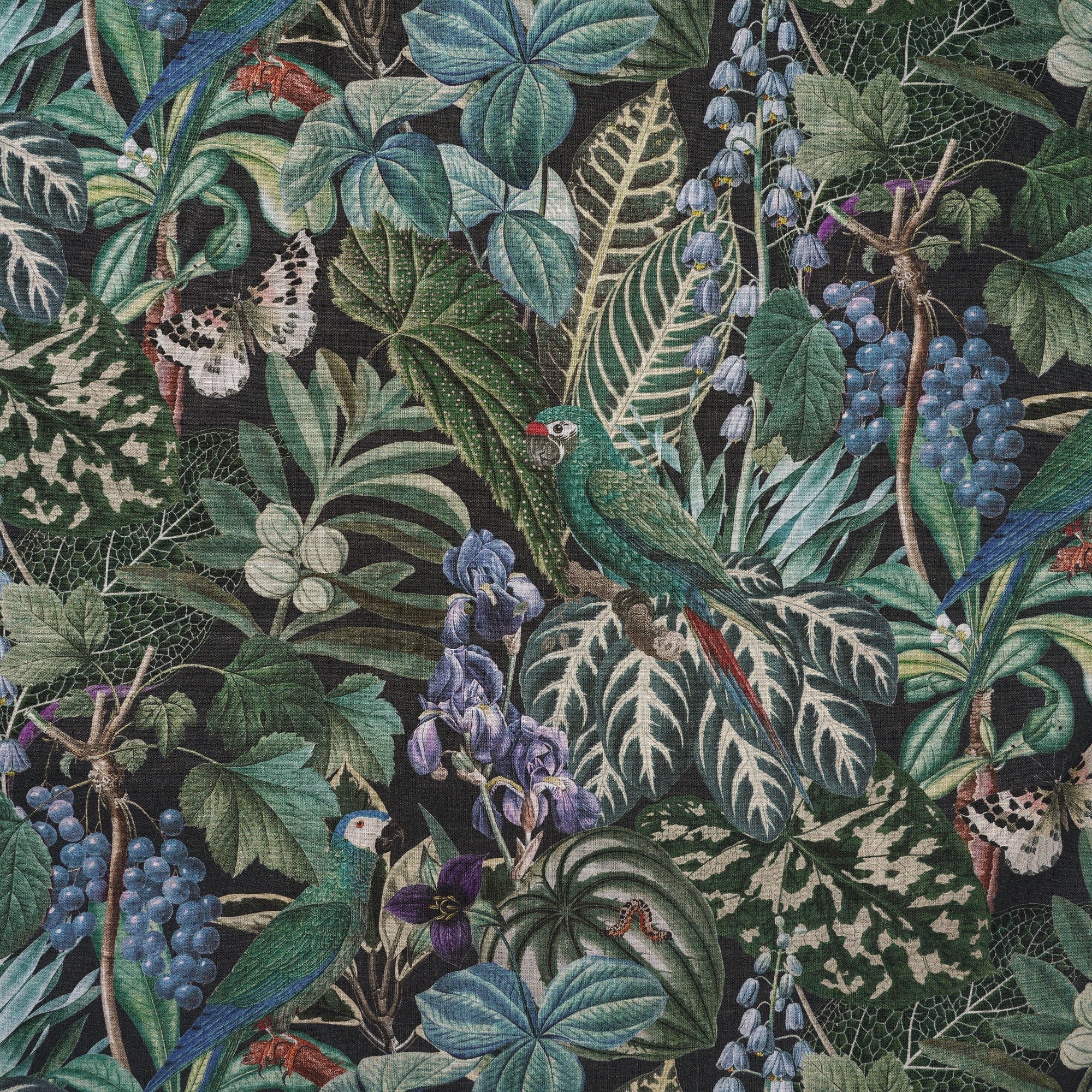 Chemise hawaïenne pour homme à manches courtes, boutonnée, 100 % coton, verte, Aloha Murmures de la jungle