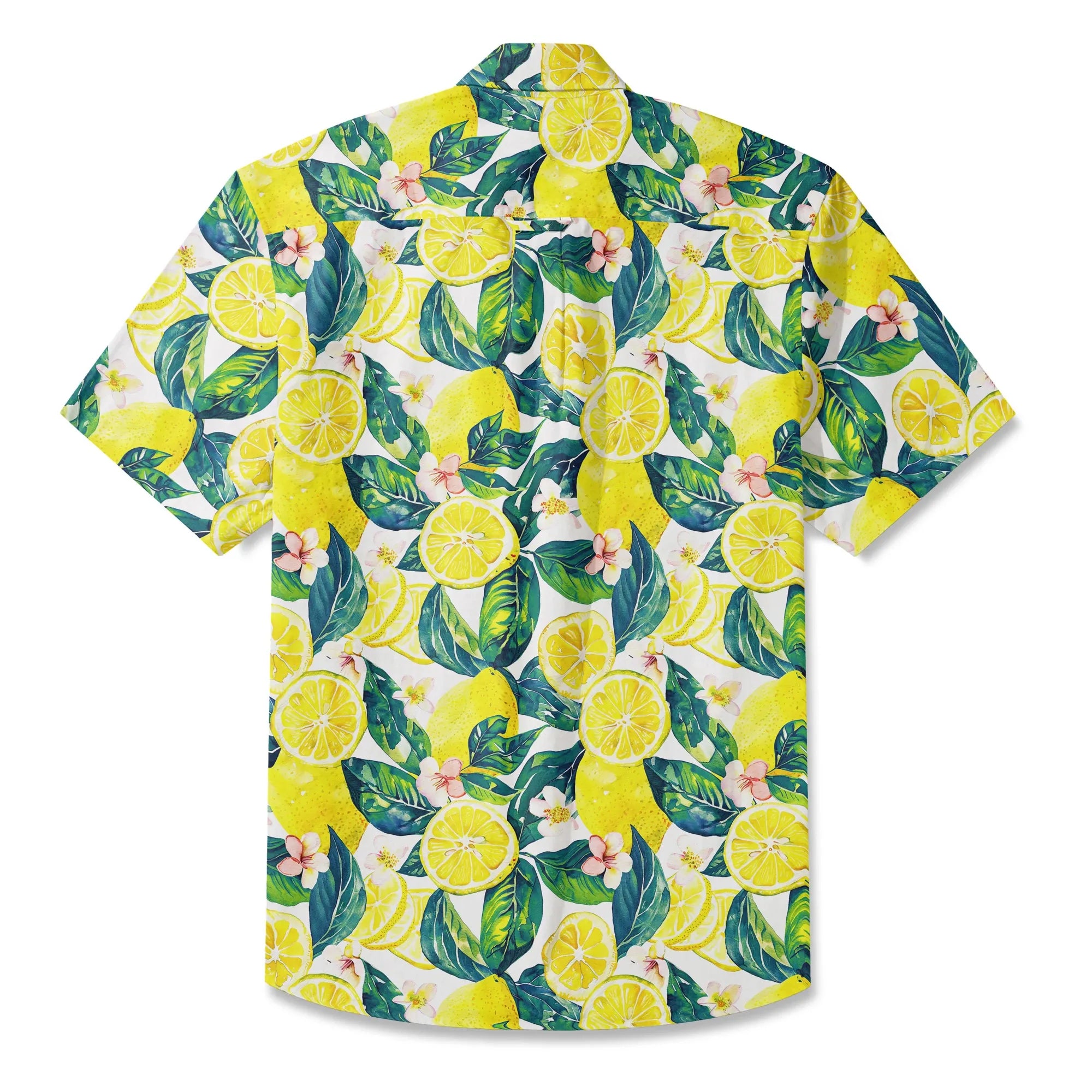 02b3a874764e4432aac56bfb11fb00c5