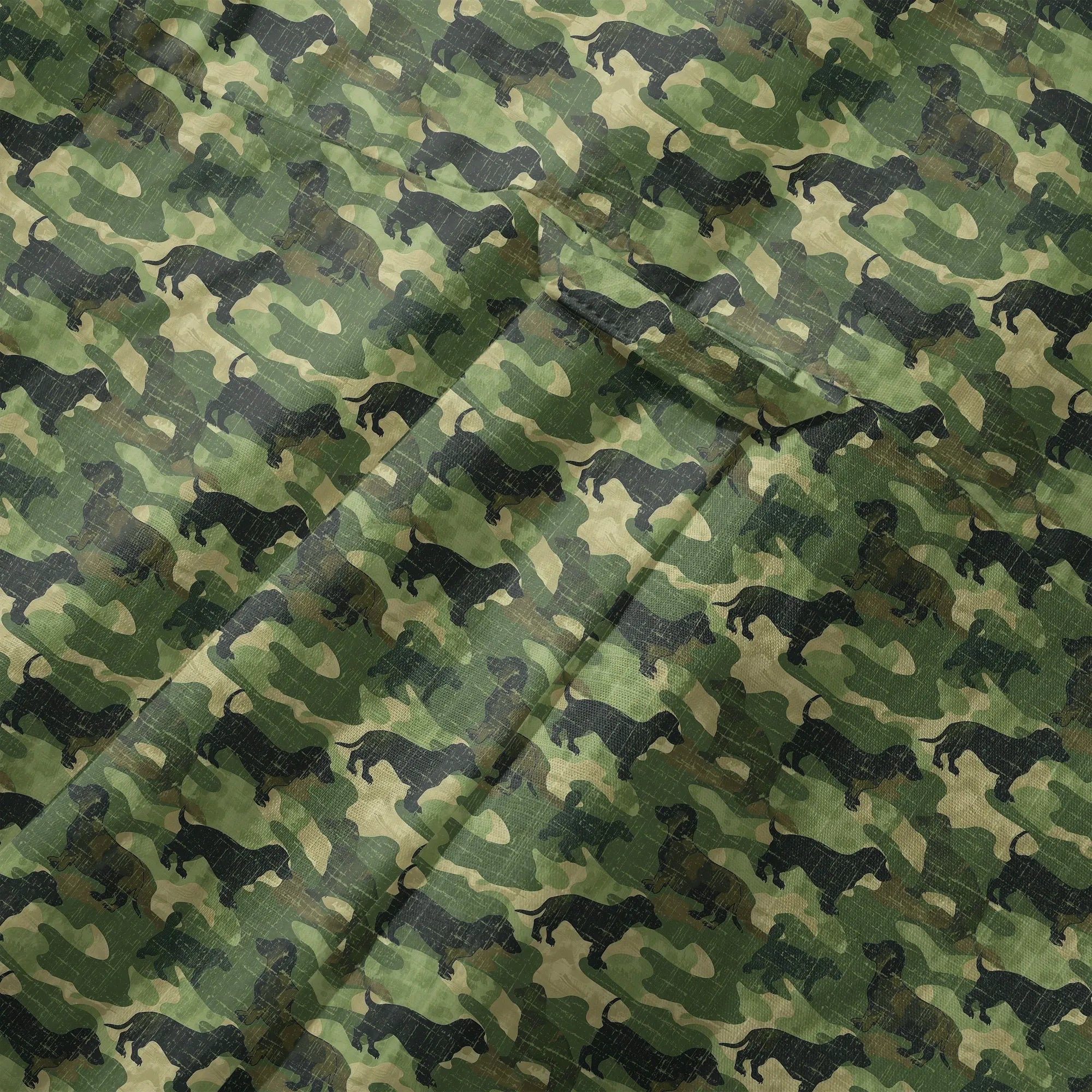 DWHS01898_6