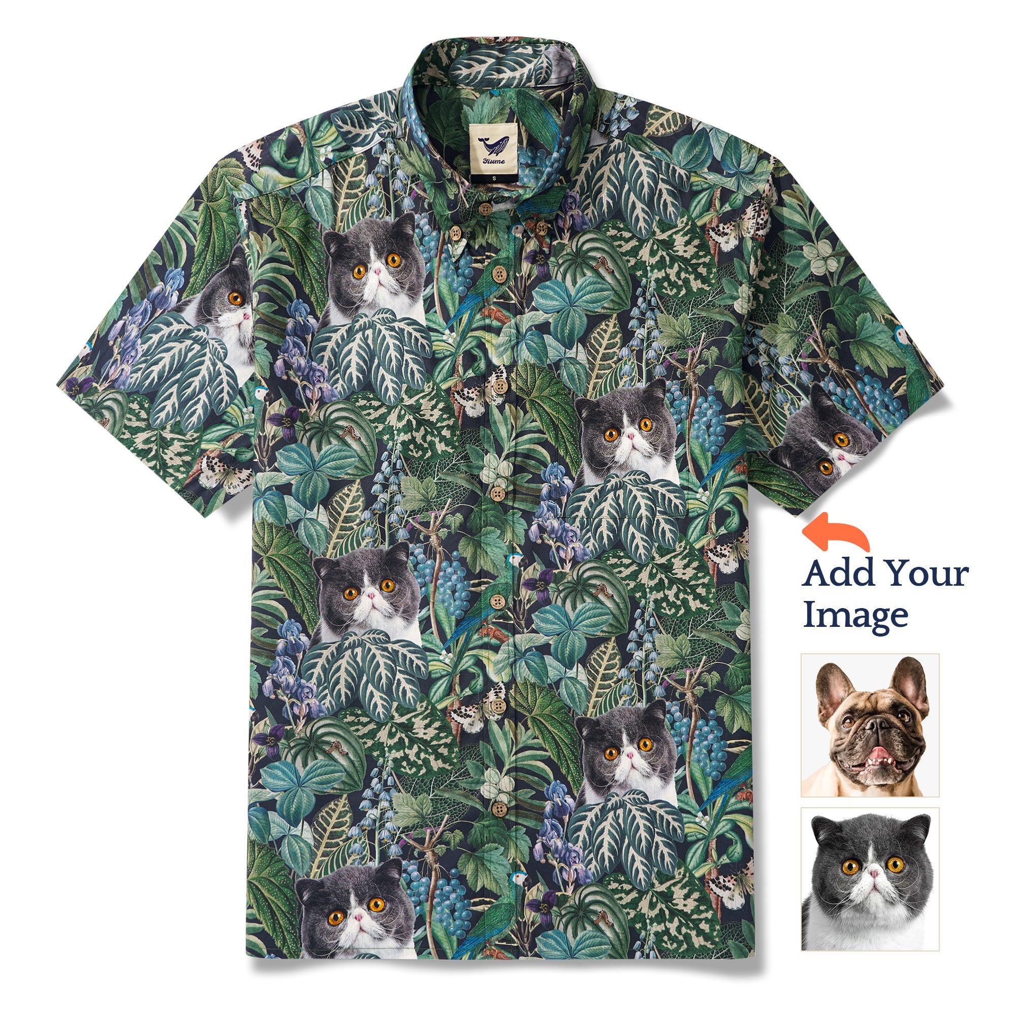 1db249294fc0423ca64fd12cce45908c