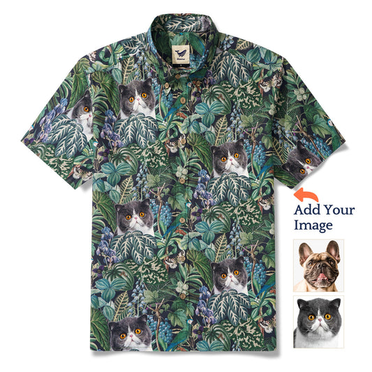 1db249294fc0423ca64fd12cce45908c