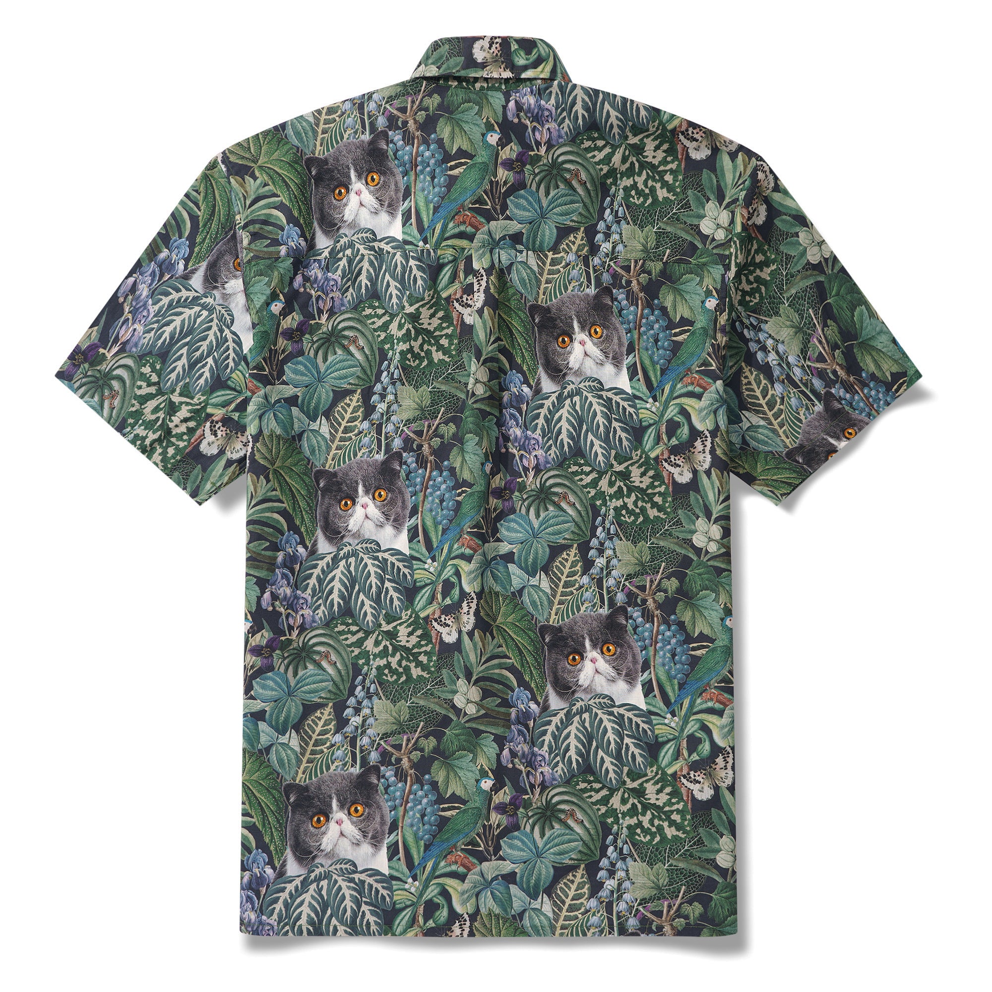 3a532fb516094f39b980fb65b8031228