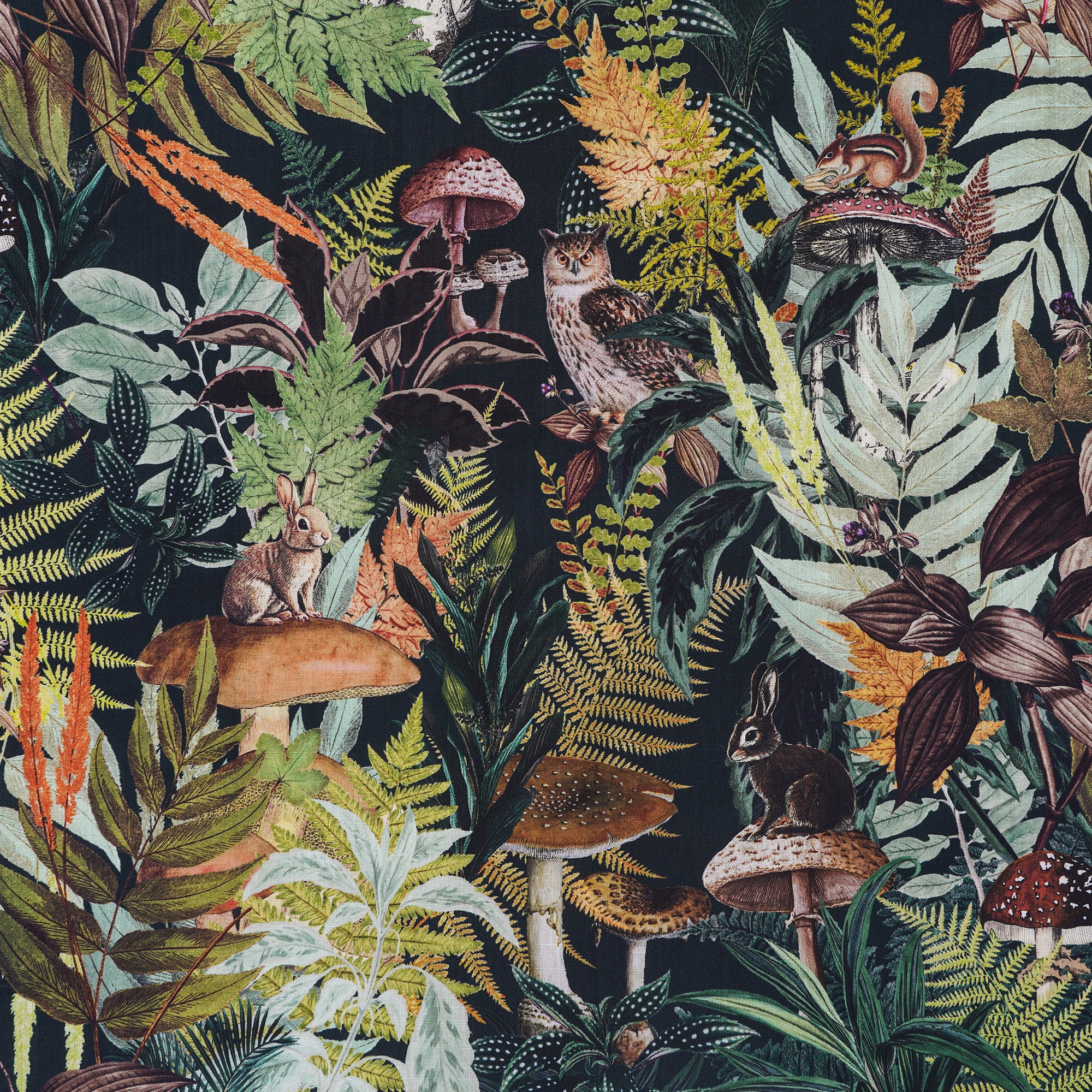 Chemise hawaïenne pour homme à manches courtes, col camp, 100 % coton, verte, Aloha Émeraude Grove