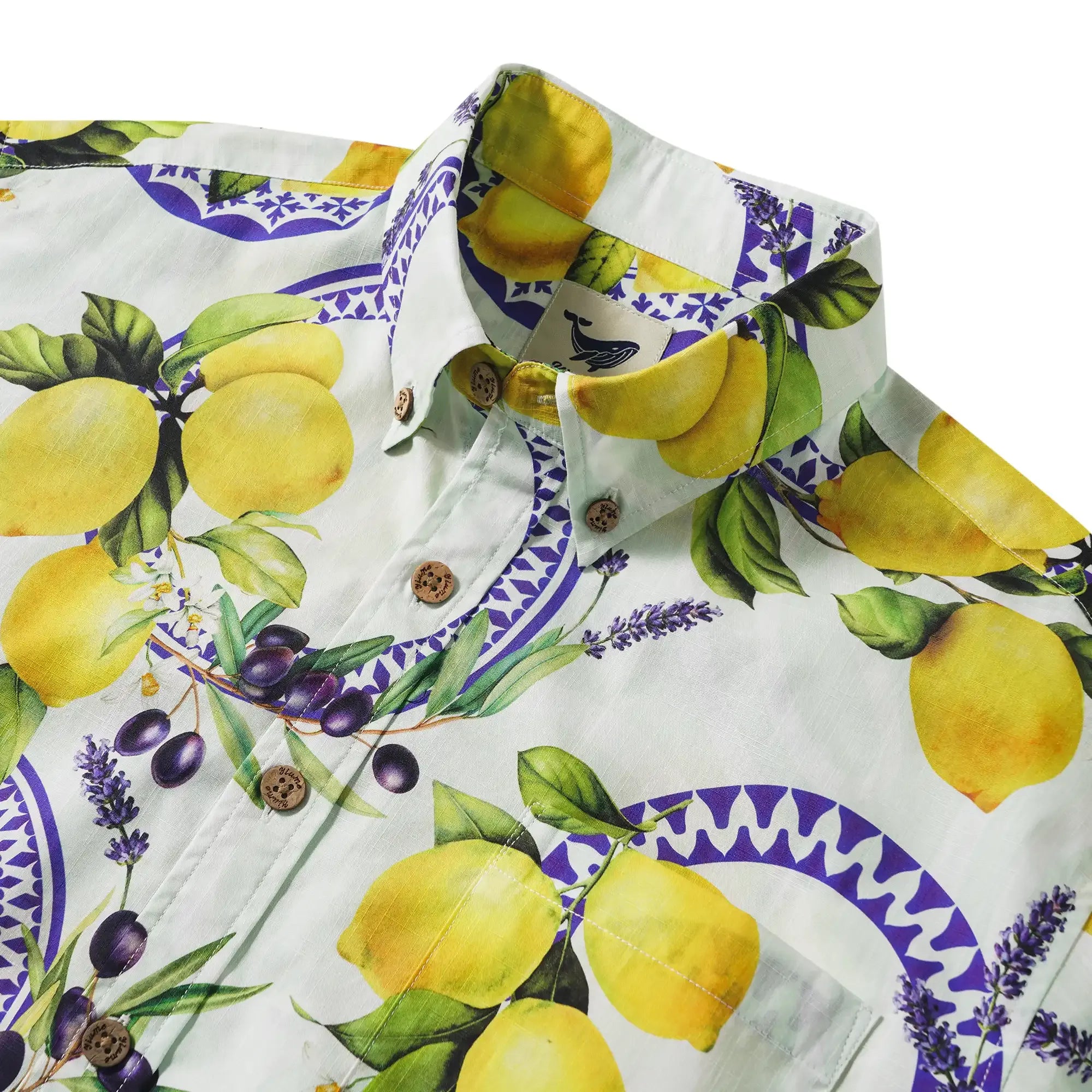 1e2077c64a1a489bb4e7bf6b14e171ad