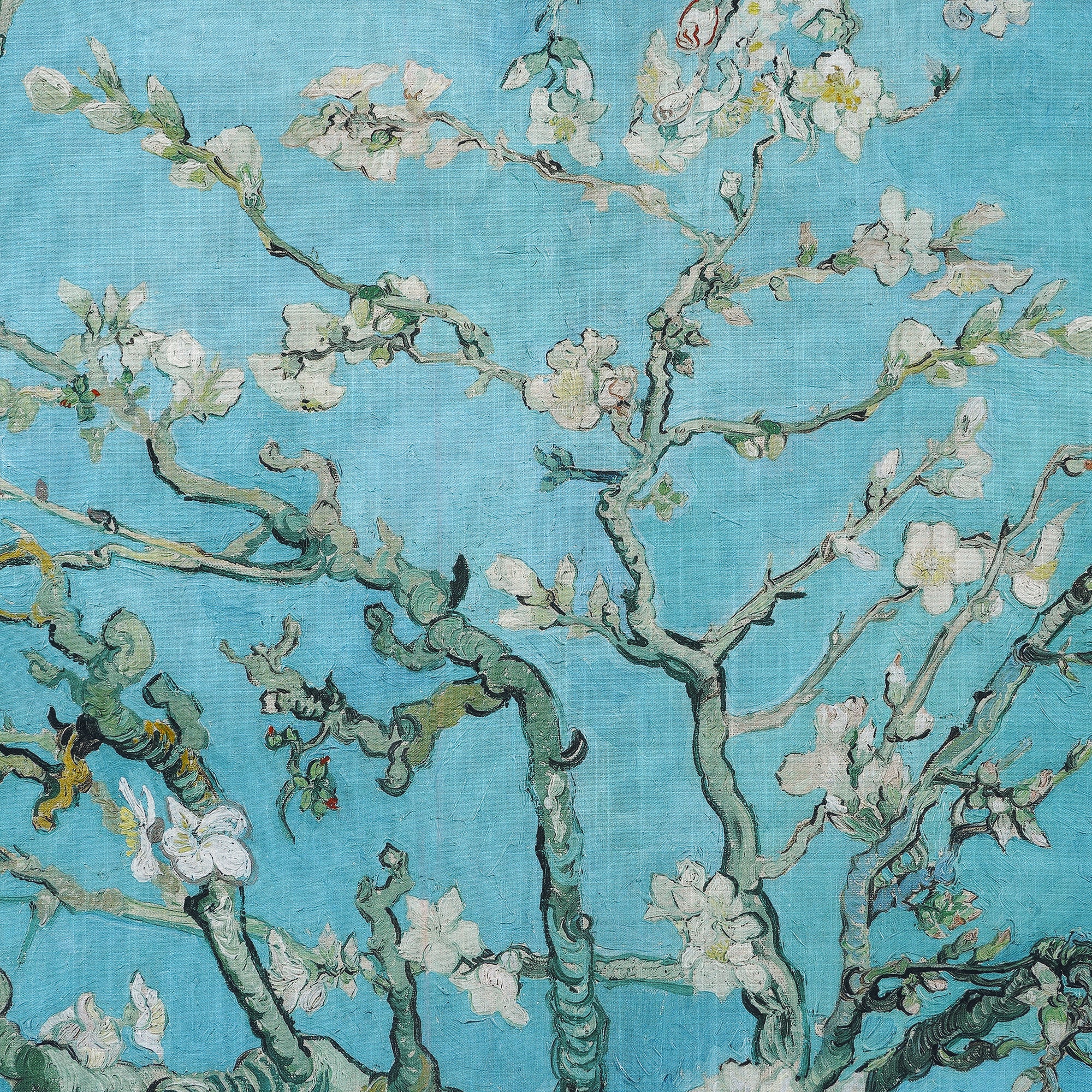 Herren Hawaii-Hemd Kurzarm Mit Knöpfen 100% Baumwolle Grün Aloha Blühende Mandel