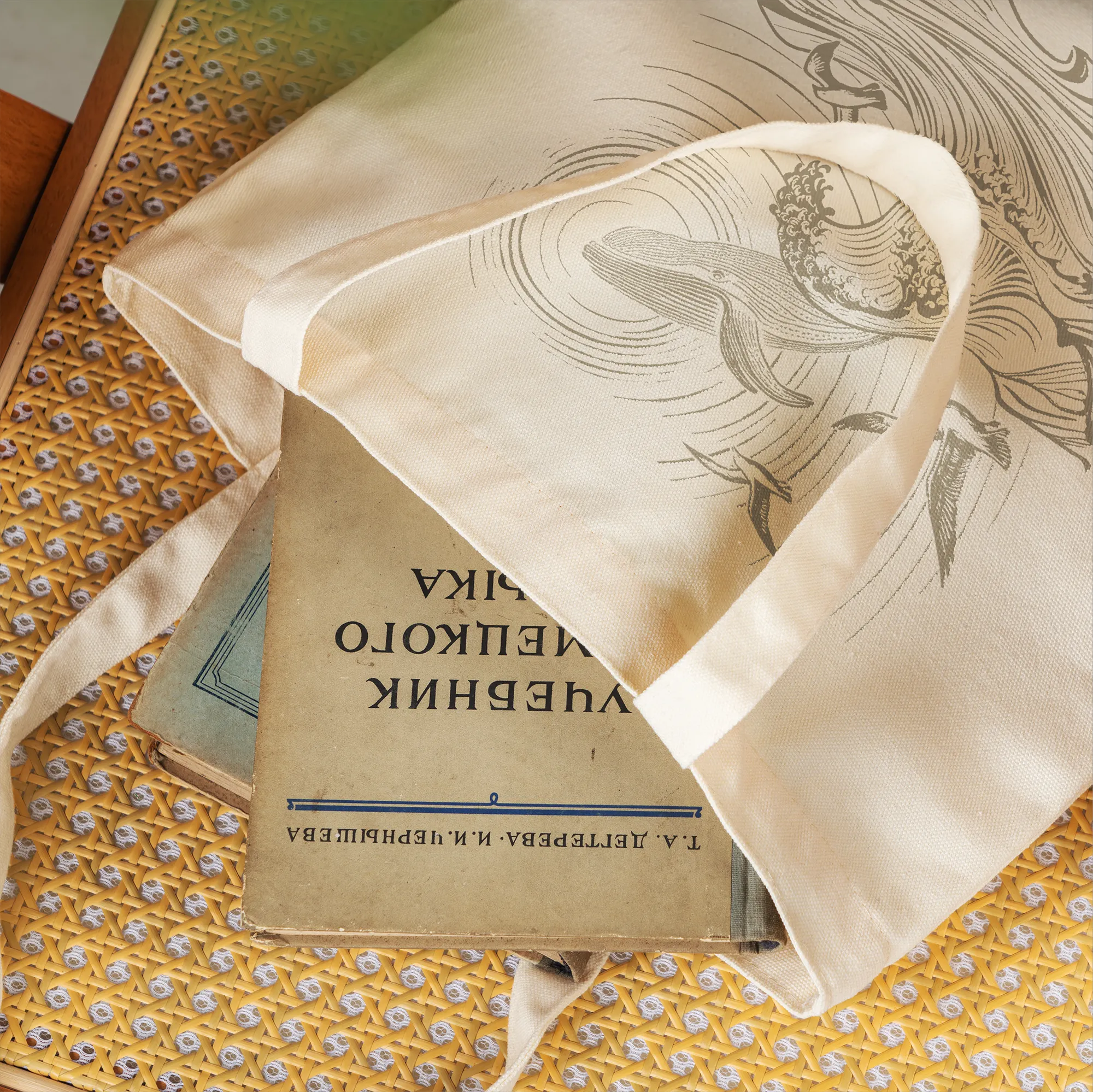 81bc7d4d012247429587d8aab9b84a65