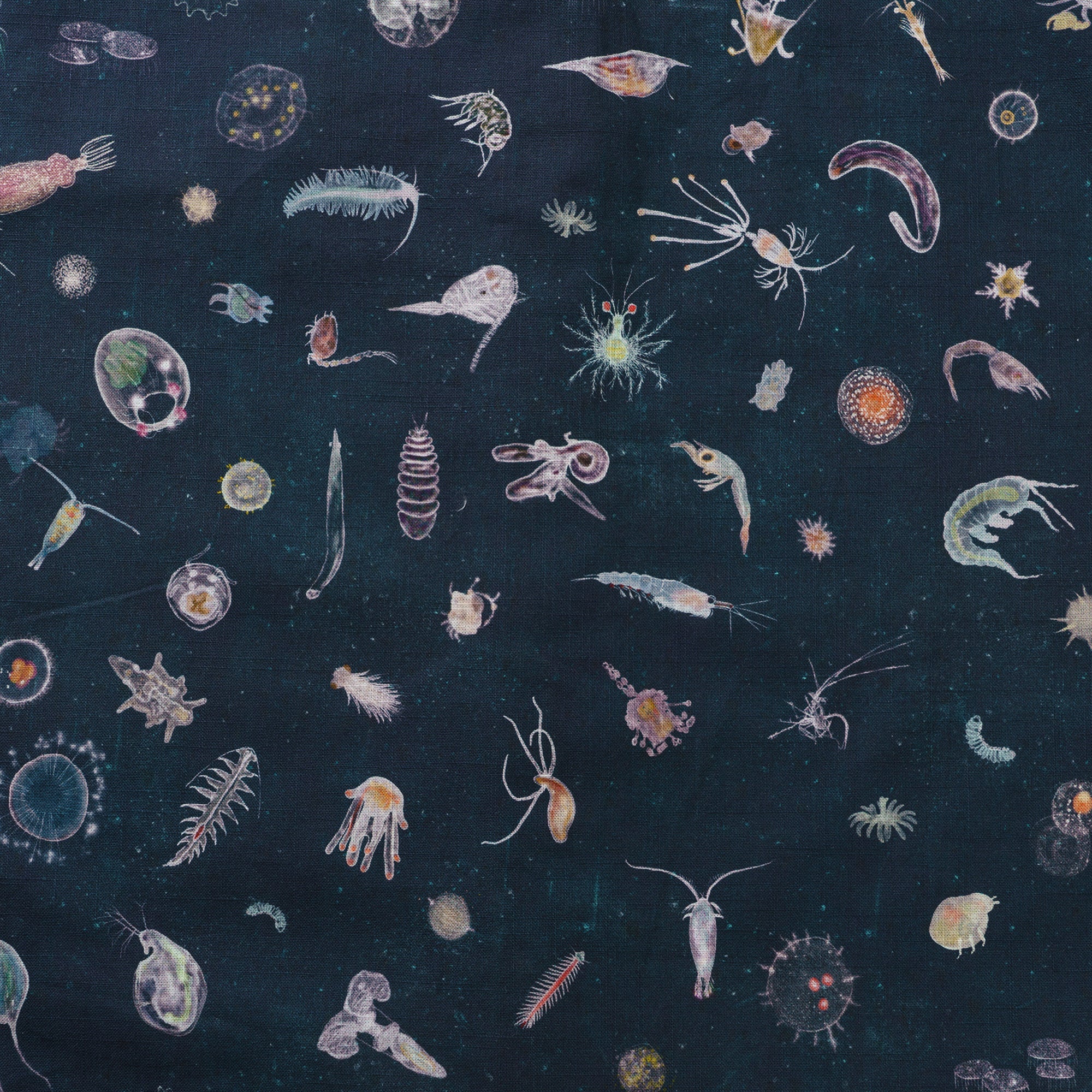 6661356903674f468ee1e4246a9b48ed