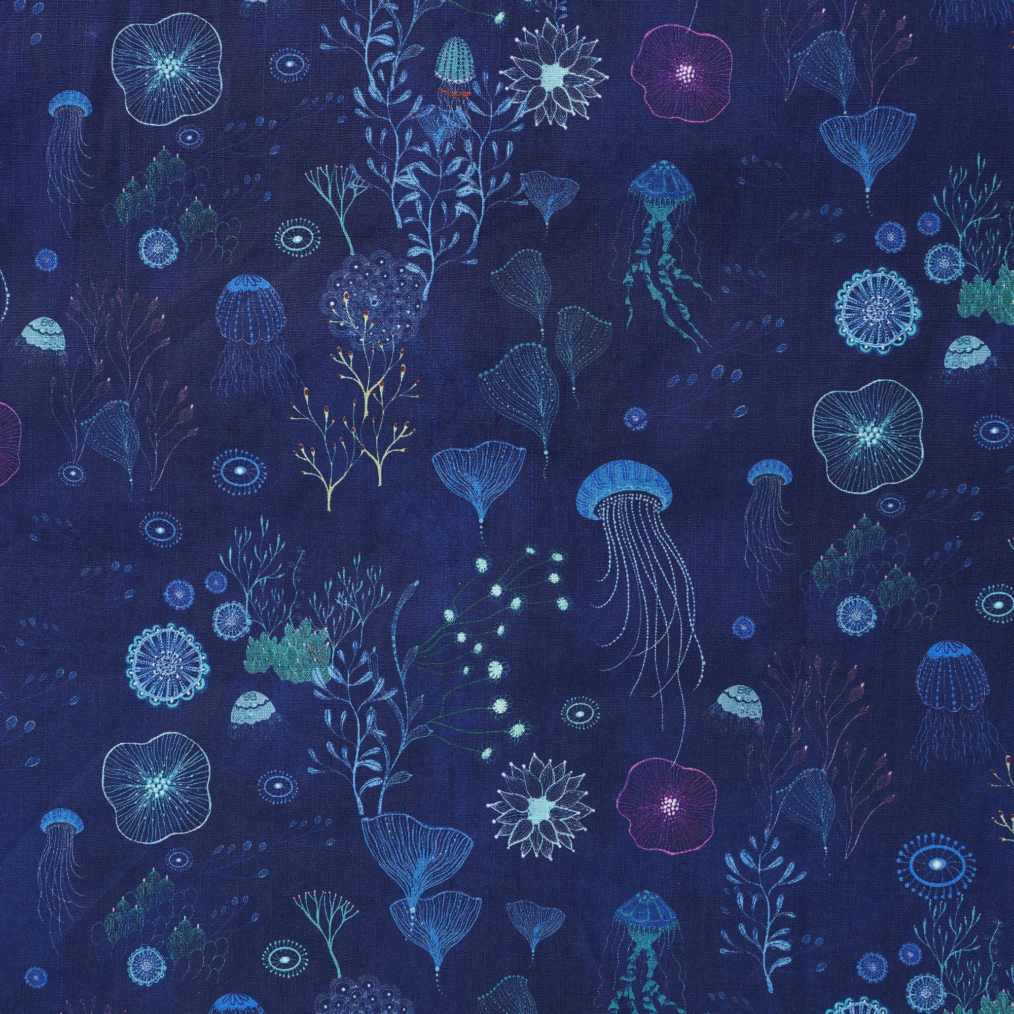 d6c4347047714a44adf8f106d0ffc962