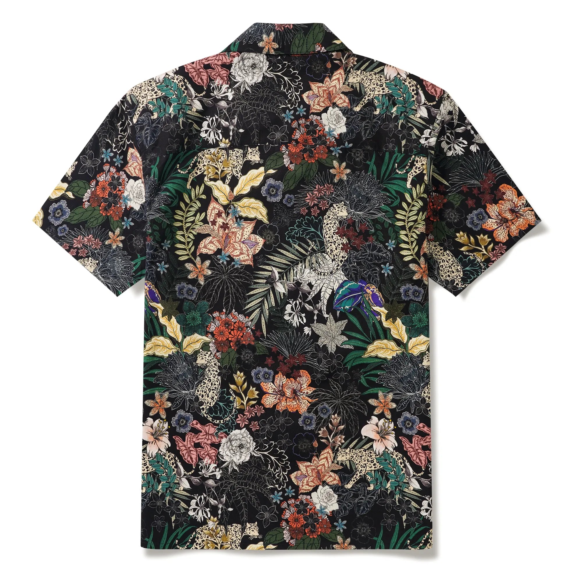 75919935e44040b5b8e4b55770904afb