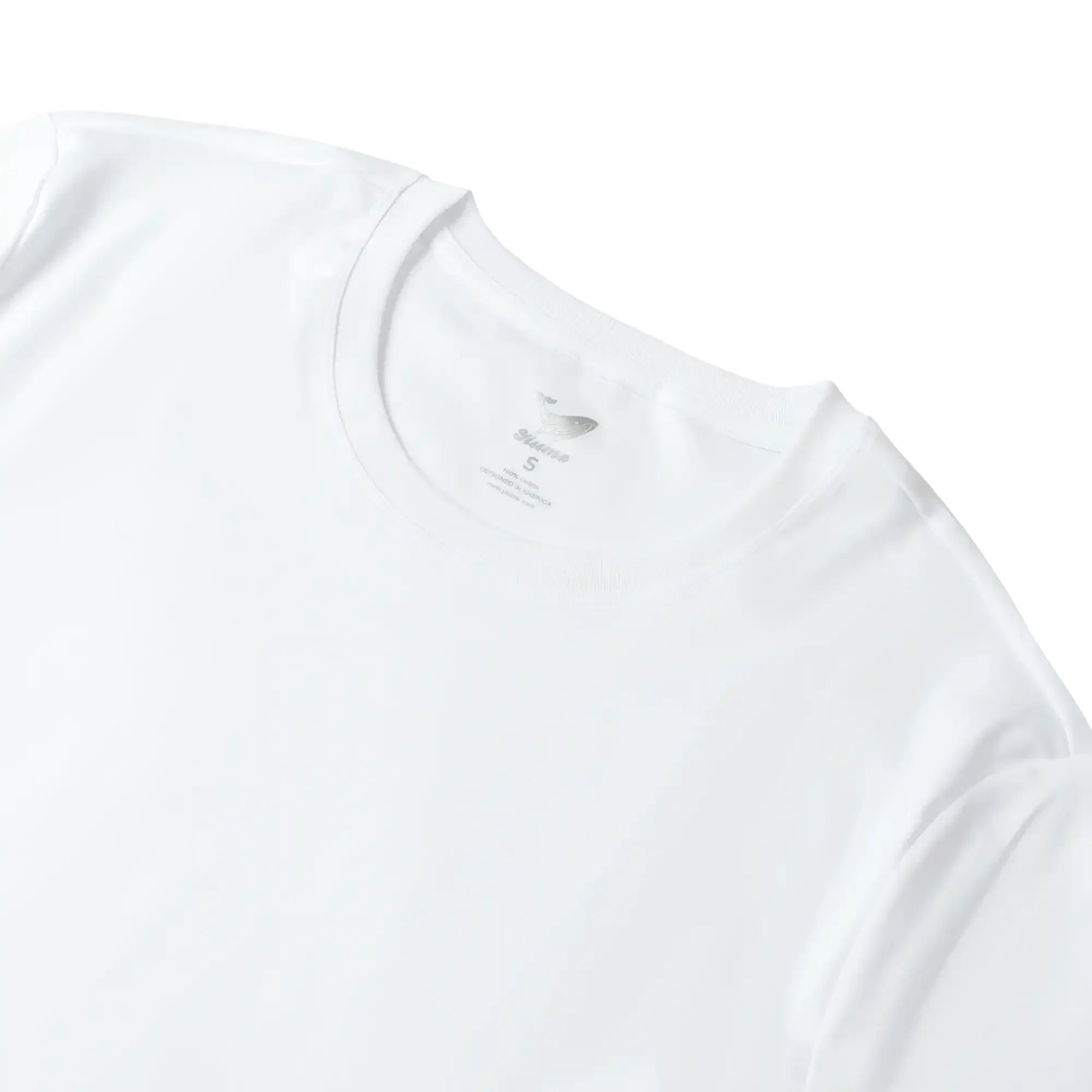 DWTS00254_2
