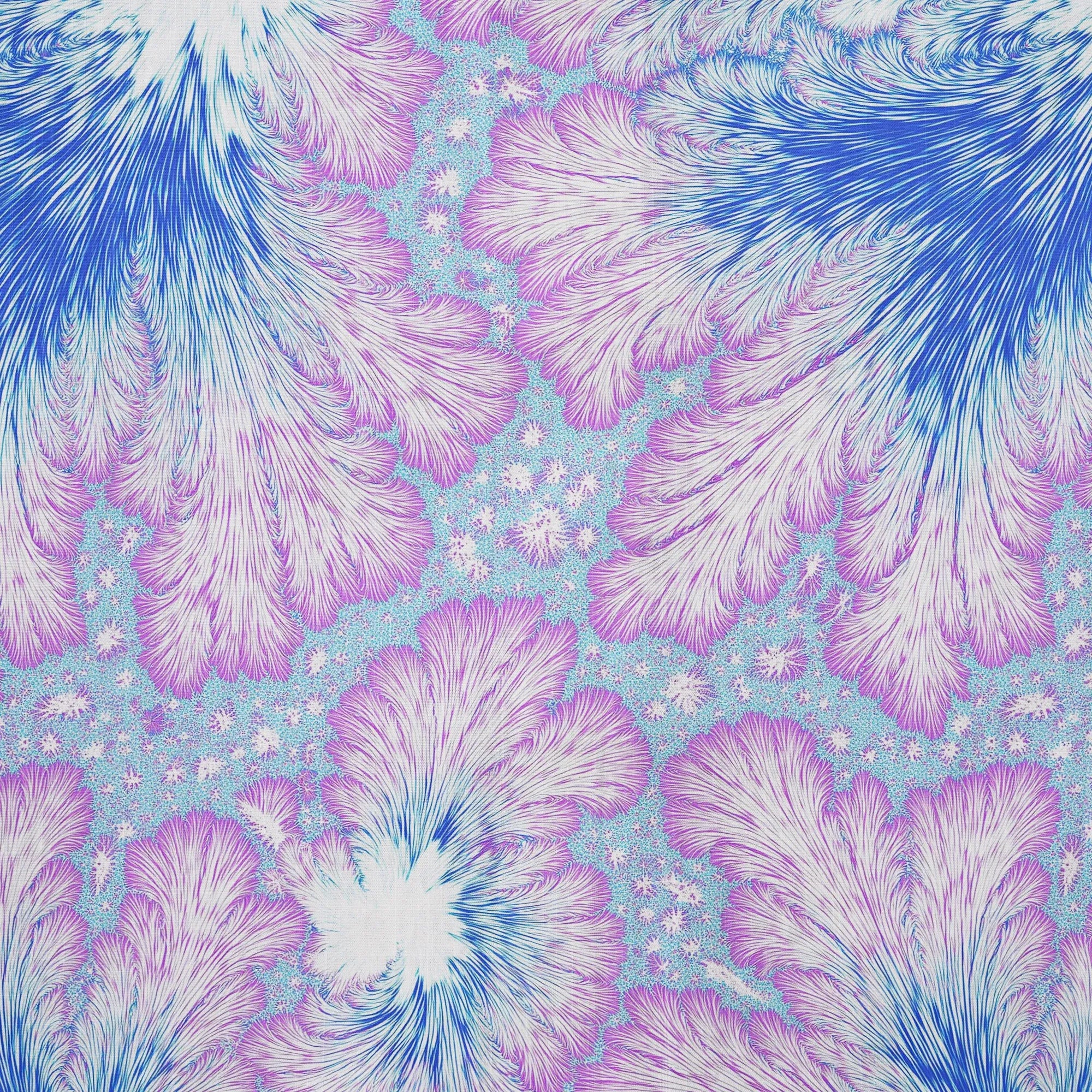 DWHS01889_8