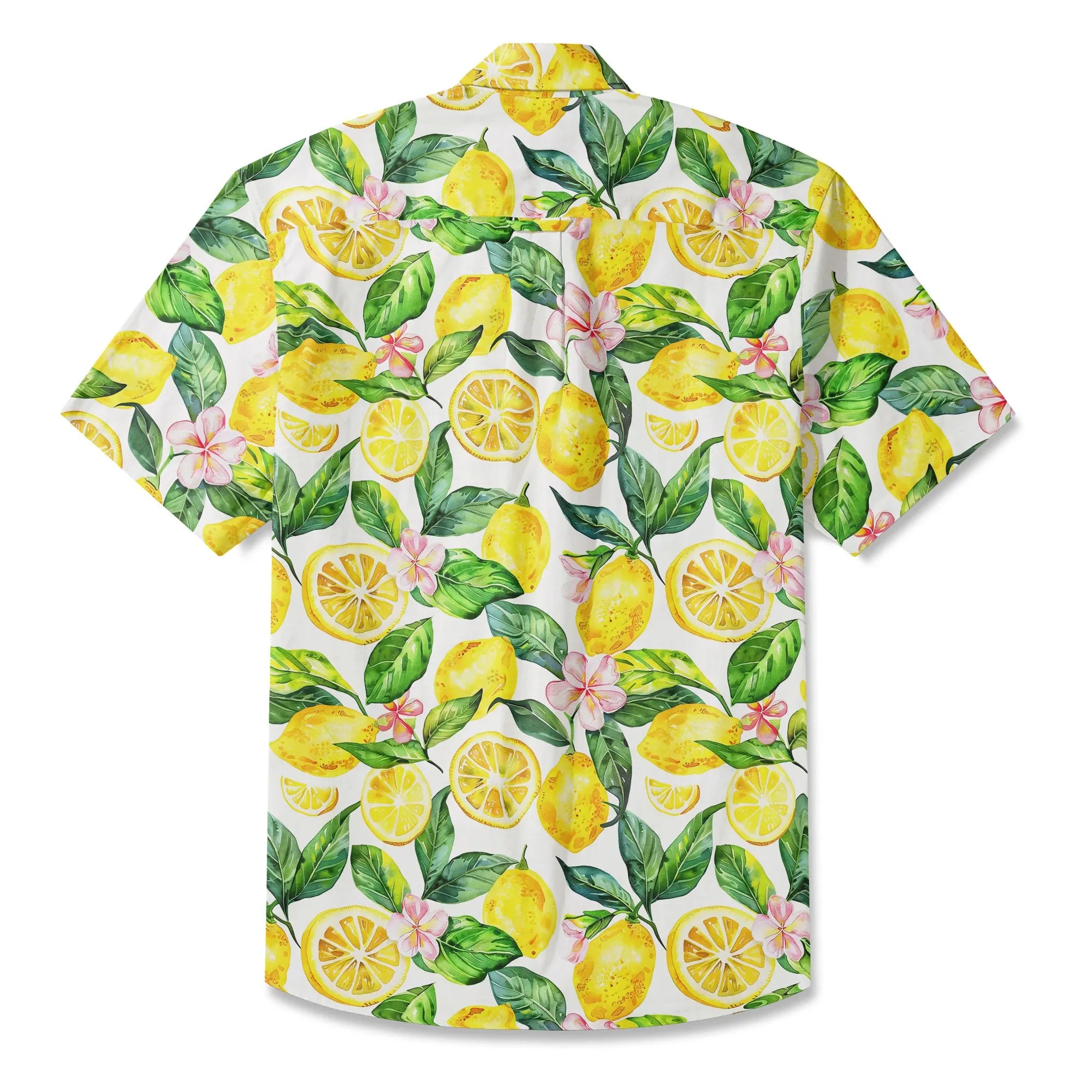 02ffdfcb04d6493ca105daf3a5fbd2c5