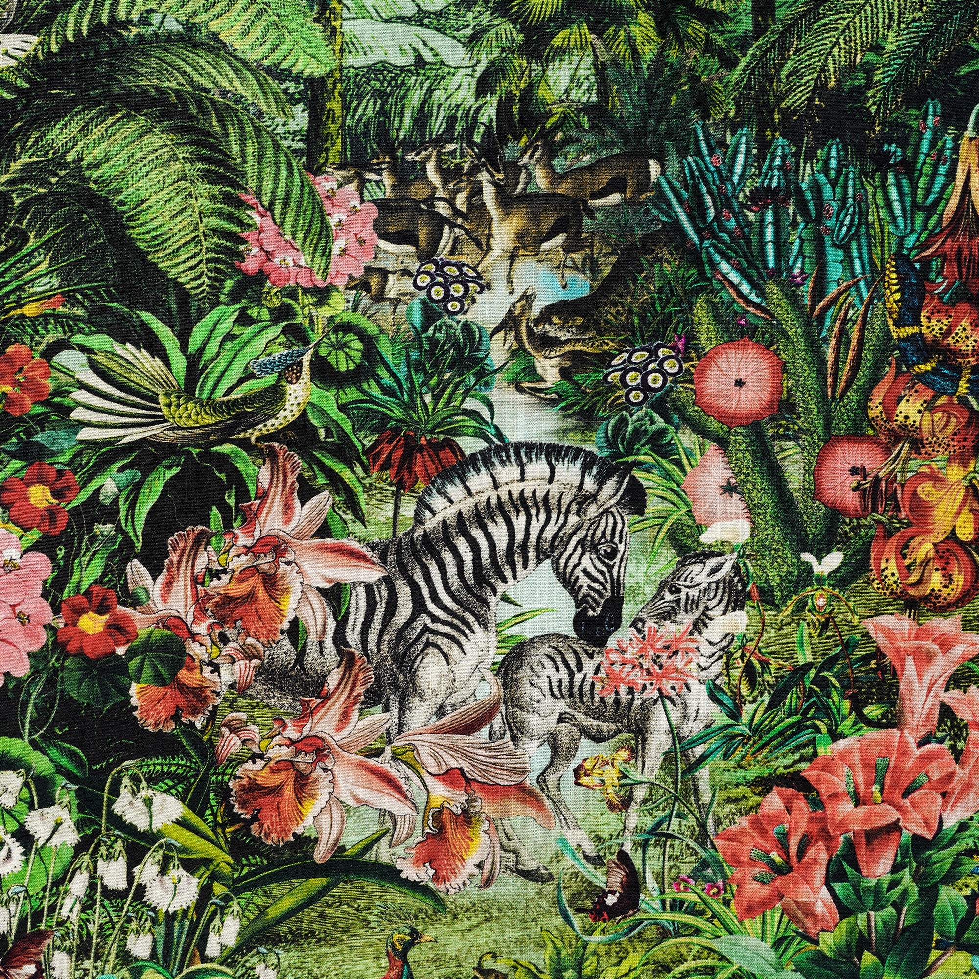 Chemise hawaïenne masculine à manches courtes à manches courtes 100% coton vert jungle de jungle