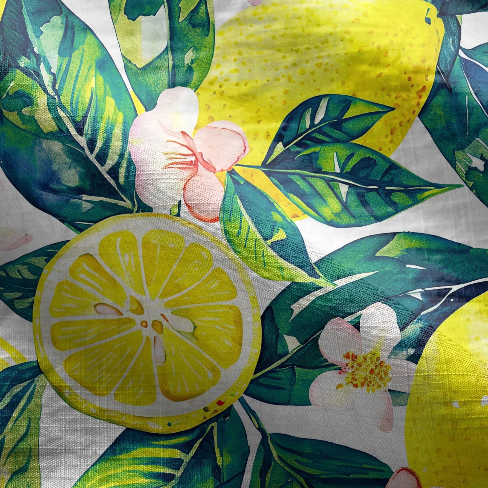 8e44a1b306f0437bafc06d0c1956bafc