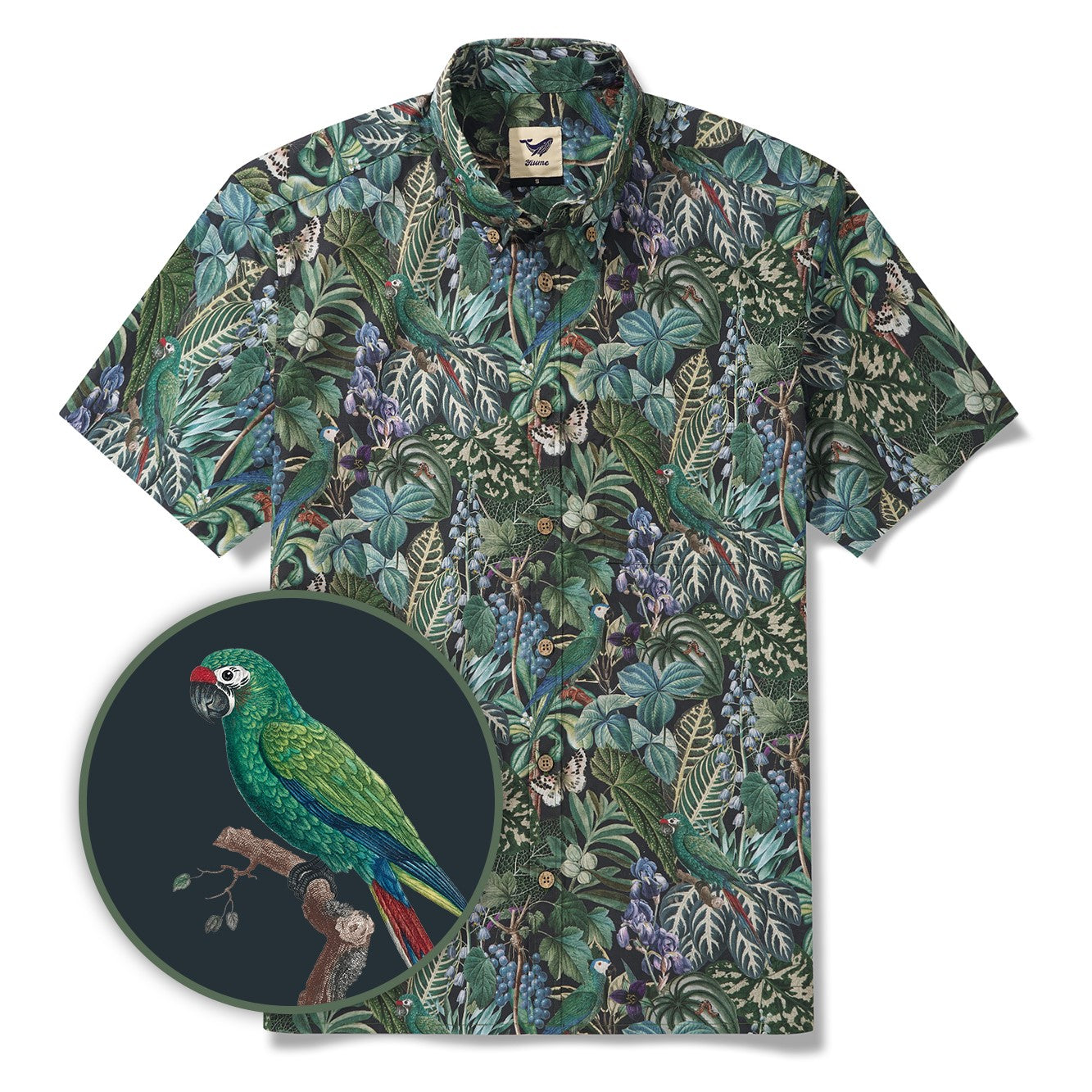 Chemise hawaïenne pour homme à manches courtes, boutonnée, 100 % coton, verte, Aloha Murmures de la jungle