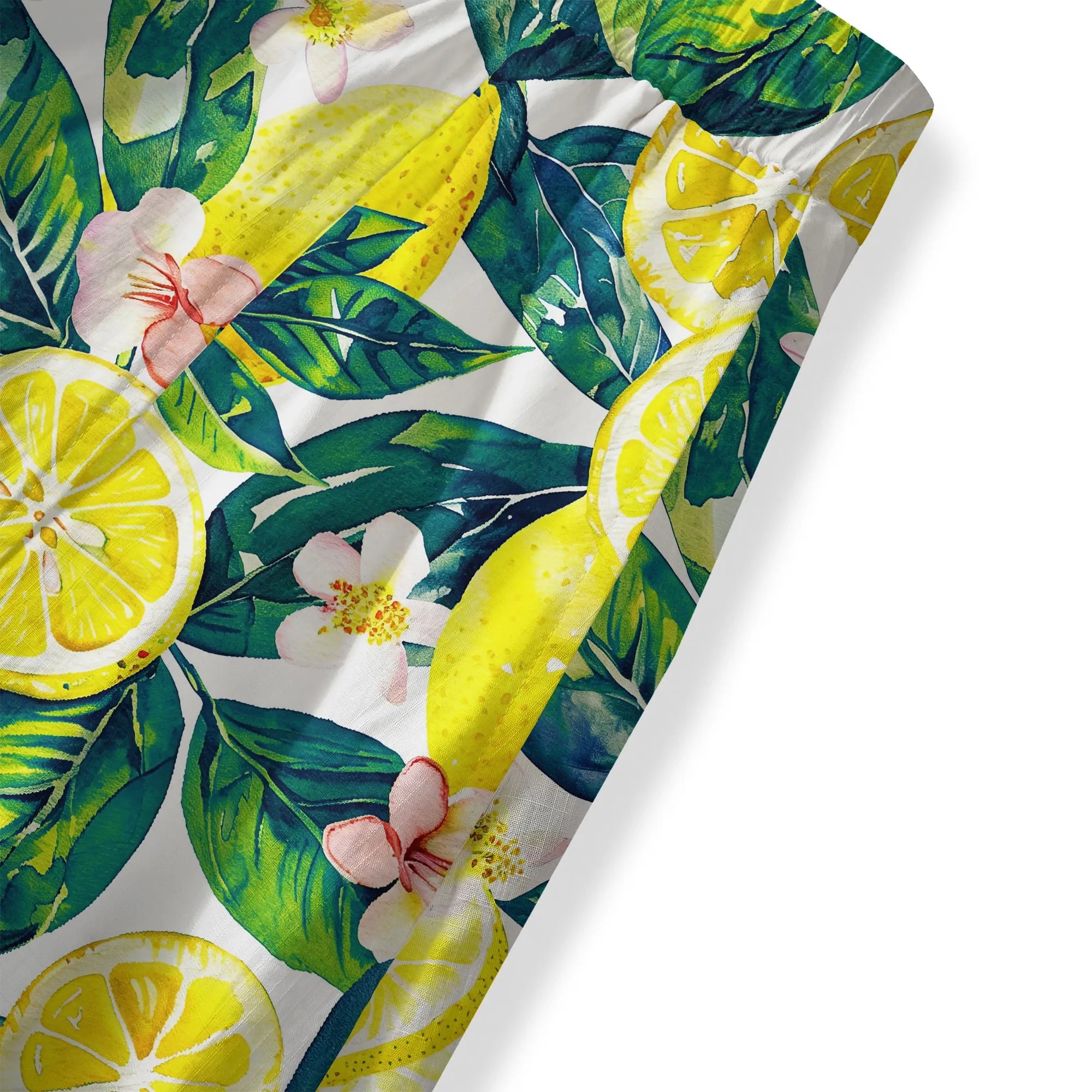 56f099dc572346e49d1a3f09c9a322b3