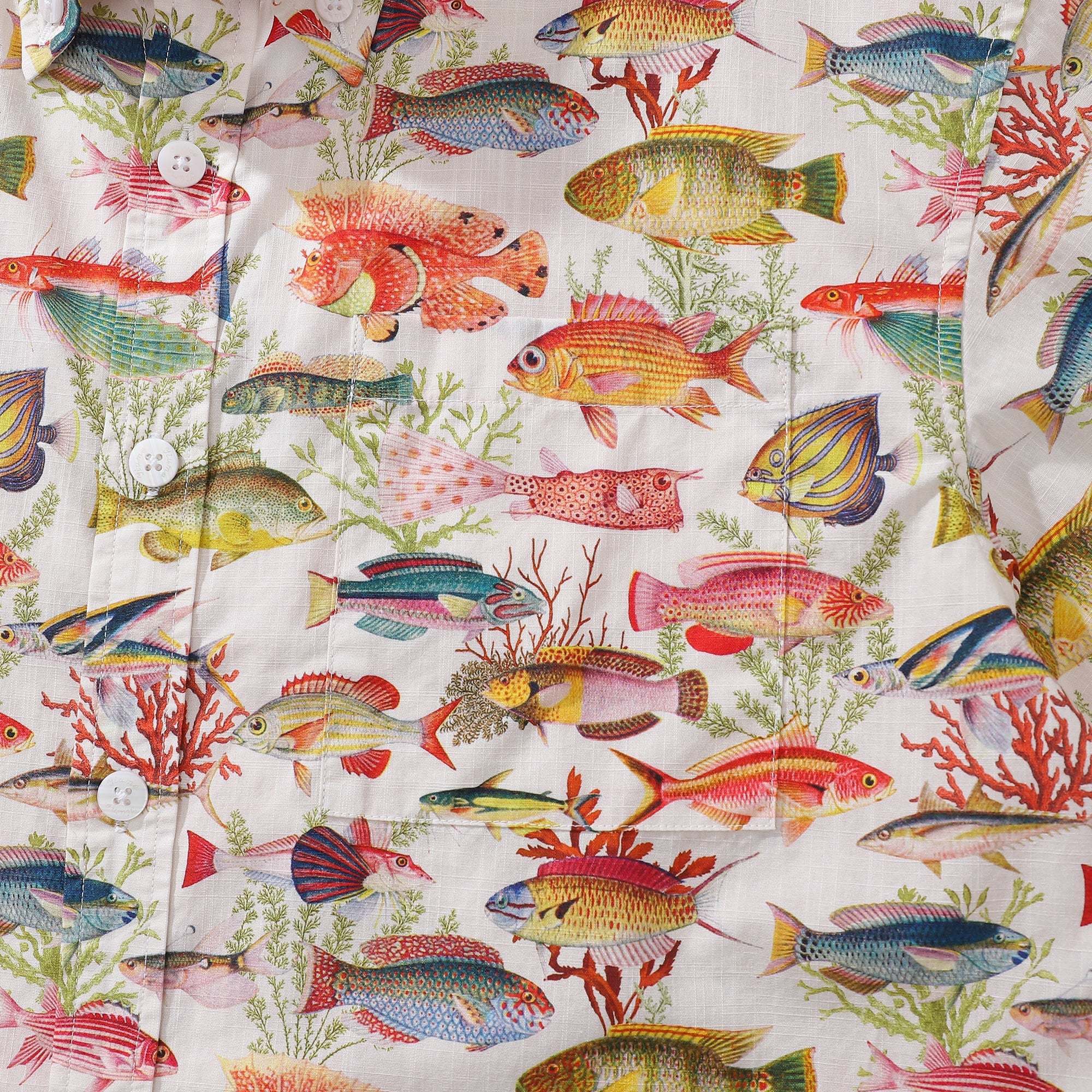 6e4009fdbab340d09e2045aebd96f233