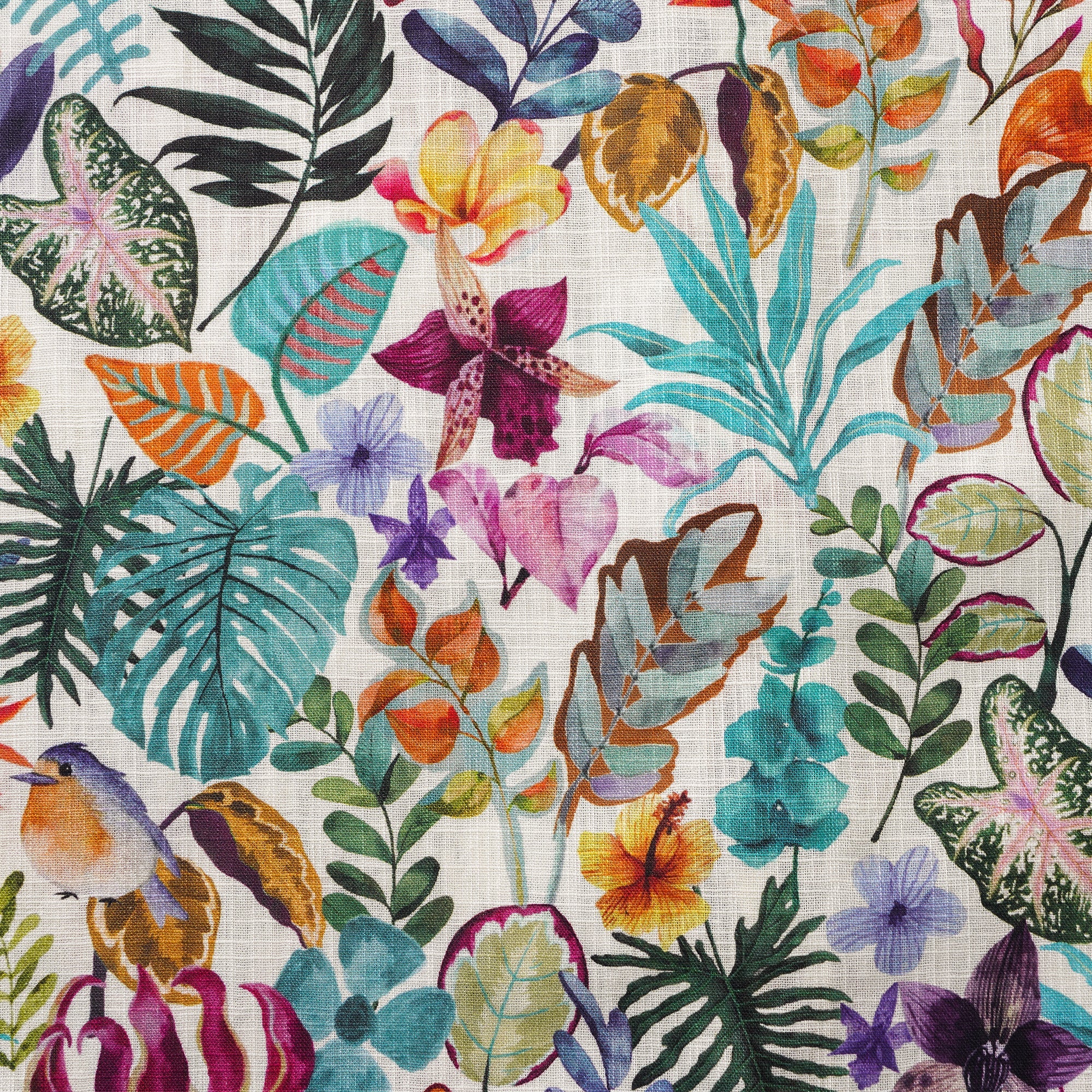 d66ff79ffce244429ab35165f11fa4aa