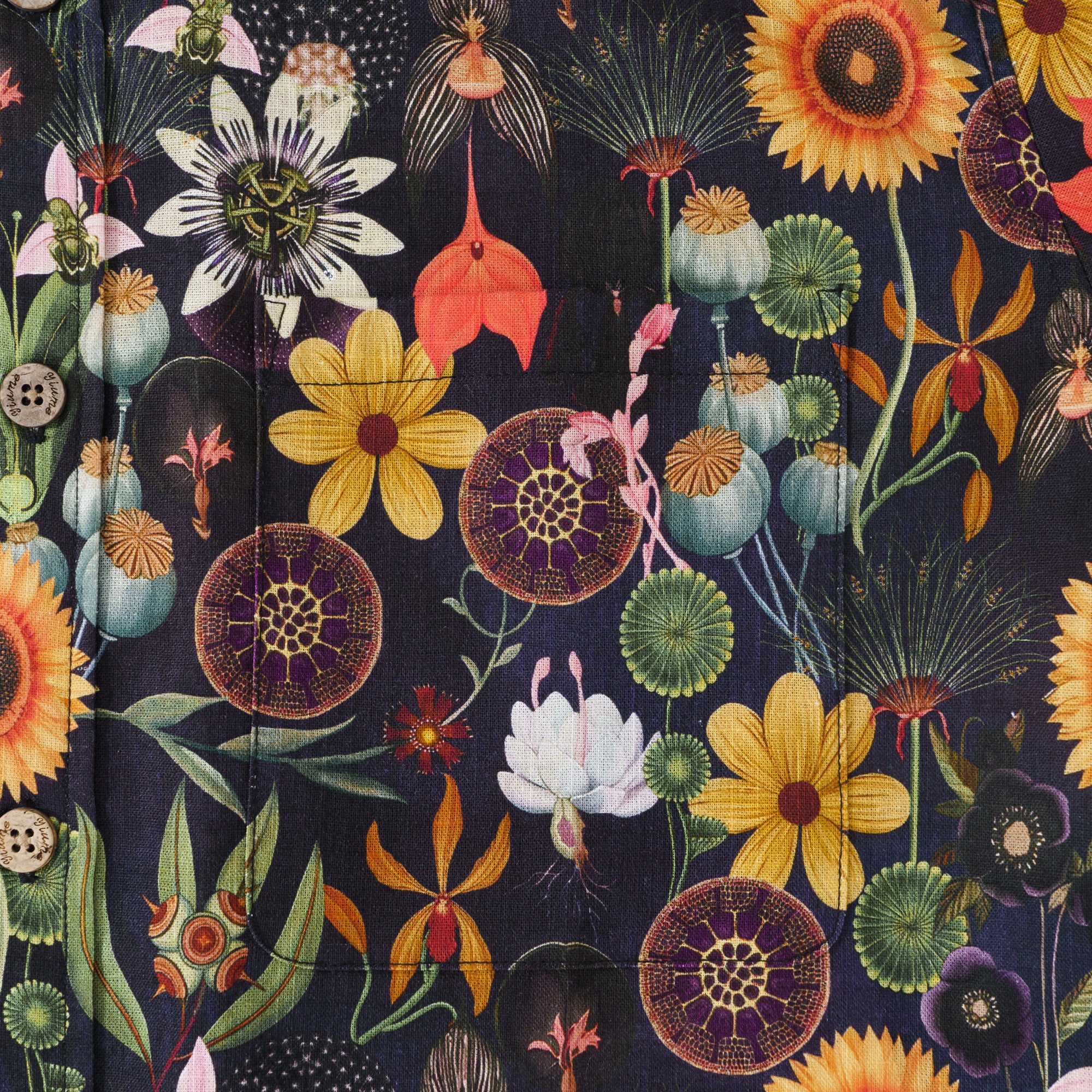 Chemise hawaïenne à manches longues pour hommes, sérénité tournesol, 100 % coton, chemise Aloha à boutons.