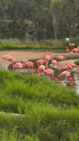 d8535370446e42fa935f7b6518be25f8