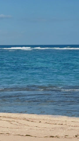 9ddedf6d68c04f479d1548f79f5d645b