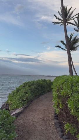 60cba1a602514b3eba76ce1f1fe4c465